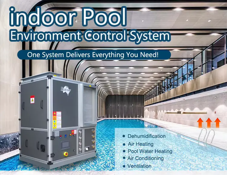 Indoor Big Swimming Pool Heaters Heat Pump With Dehumidifier For Water Park